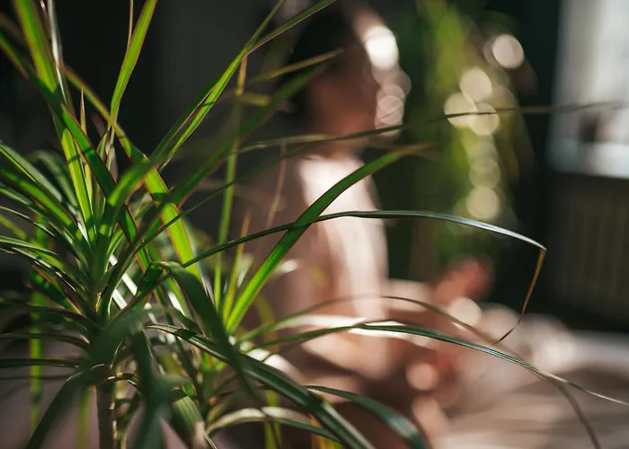 The Bakery Szálloda